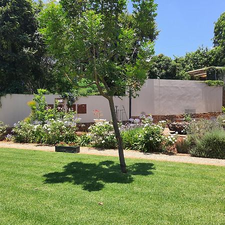 House Olive Bed & Breakfast Pretoria